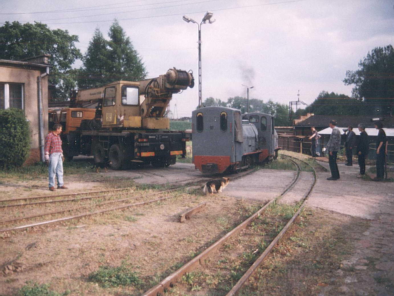 LOPKI z RZESNICY